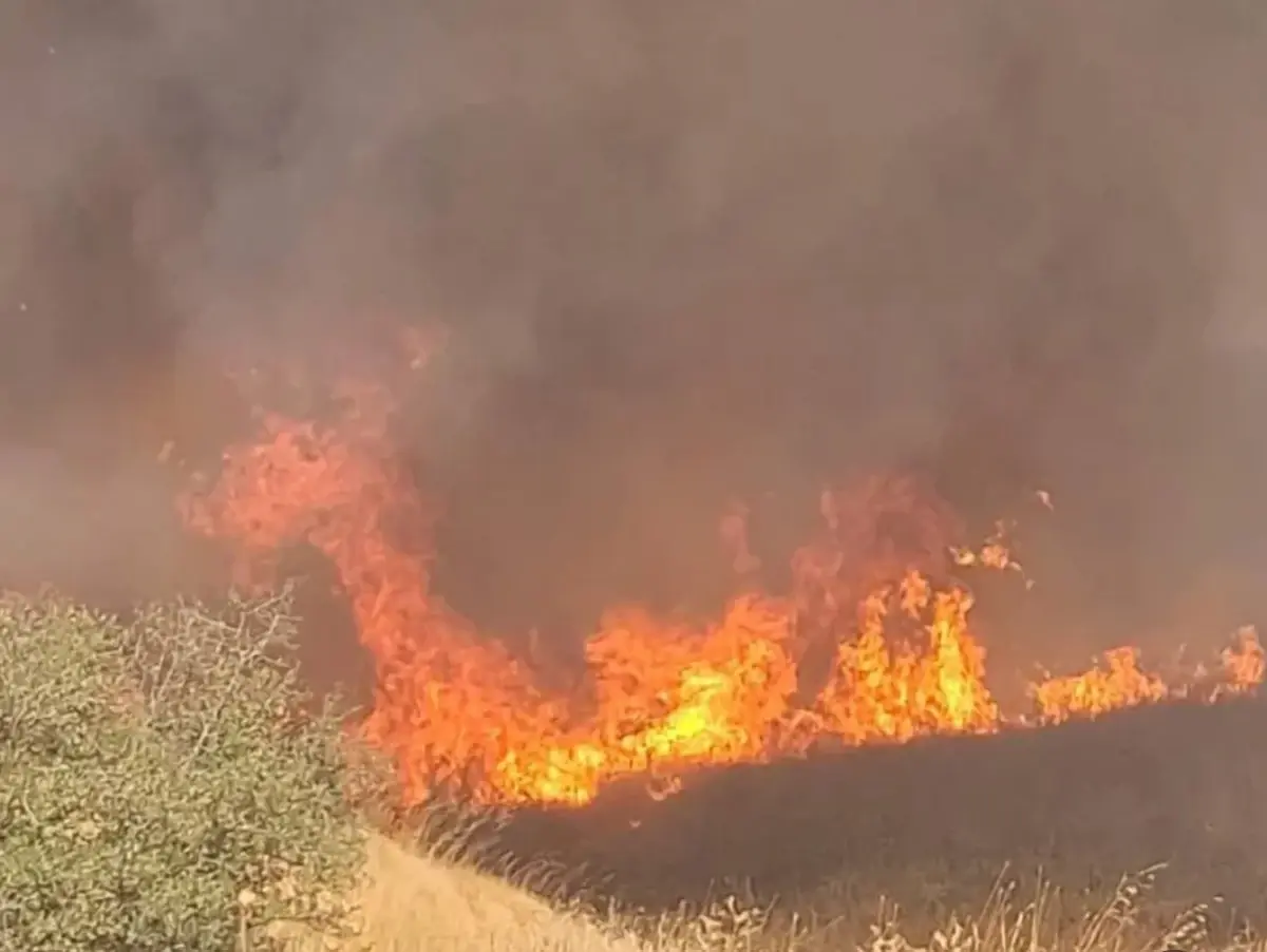 ipsalada bugday tarlasinda yangin 9SBnlRpe