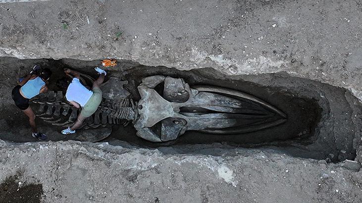 mersinde toprak altindan cikariliyor tam 14 metre uzunlugunda YxqpnixS