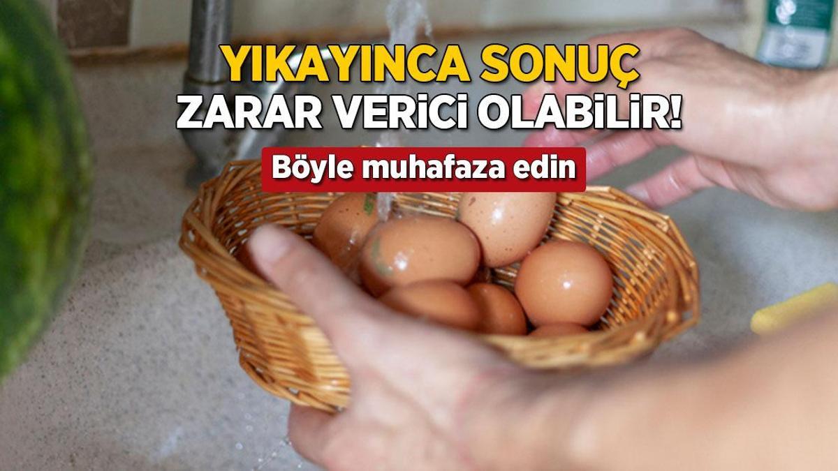 yikayinca sonuc salmonella bakterisi yumurtayi boyle muhafaza etmek sart Qcn9DfwU.jpg