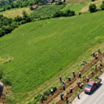 Türkiye’de Yetişen Değerli Tarım Ürünleri: Milyoner Olmanın Yolu