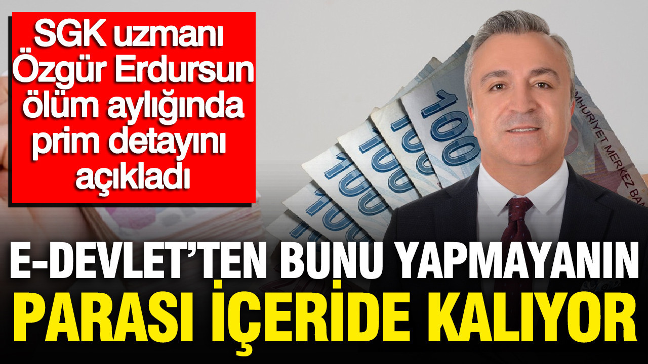 Haber gorseli